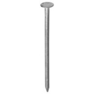 POINTE TETE PLATE 3X30 BARQUET 1KG POINTE TETE PLATE 3X30 BARQUET 1KG